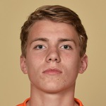 泰斯·比耶夫德