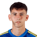 皇家维戈塞尔塔